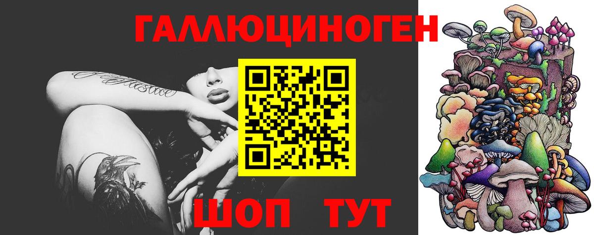ГАШ  Вход с VPN  Новозыбков  COCAIN  ГЕРОИН  МЕФ   МАРИХУАНА 