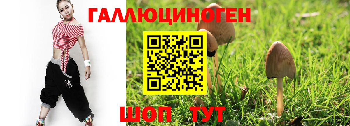Галлюциногенные грибы MAGIC MUSHROOMS Новозыбков