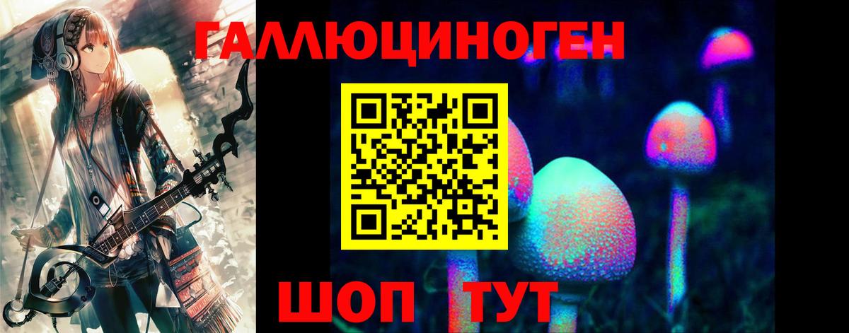 Псилоцибиновые грибы Magic Shrooms  Вход с VPN  Новозыбков 